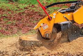 Reliable Otis Orchards East Farms, WA Tree Services Solutions